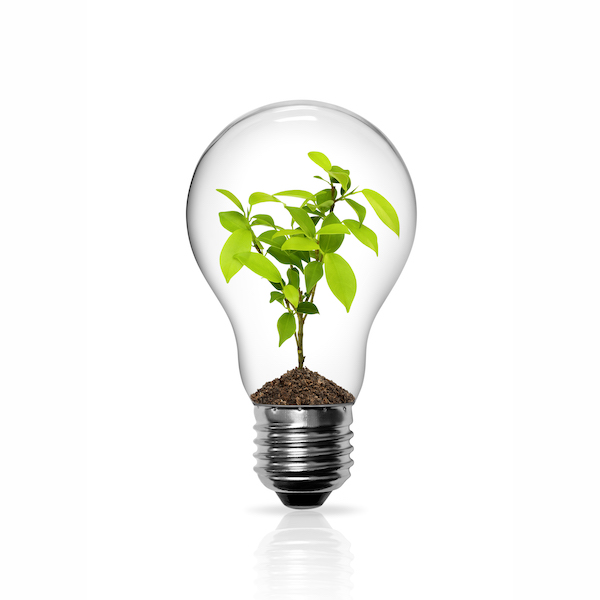 How to Make Your Home More Energy Efficient