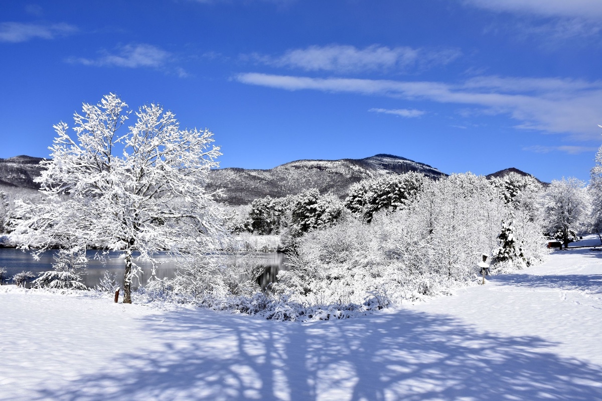 February 2021 Newsletter