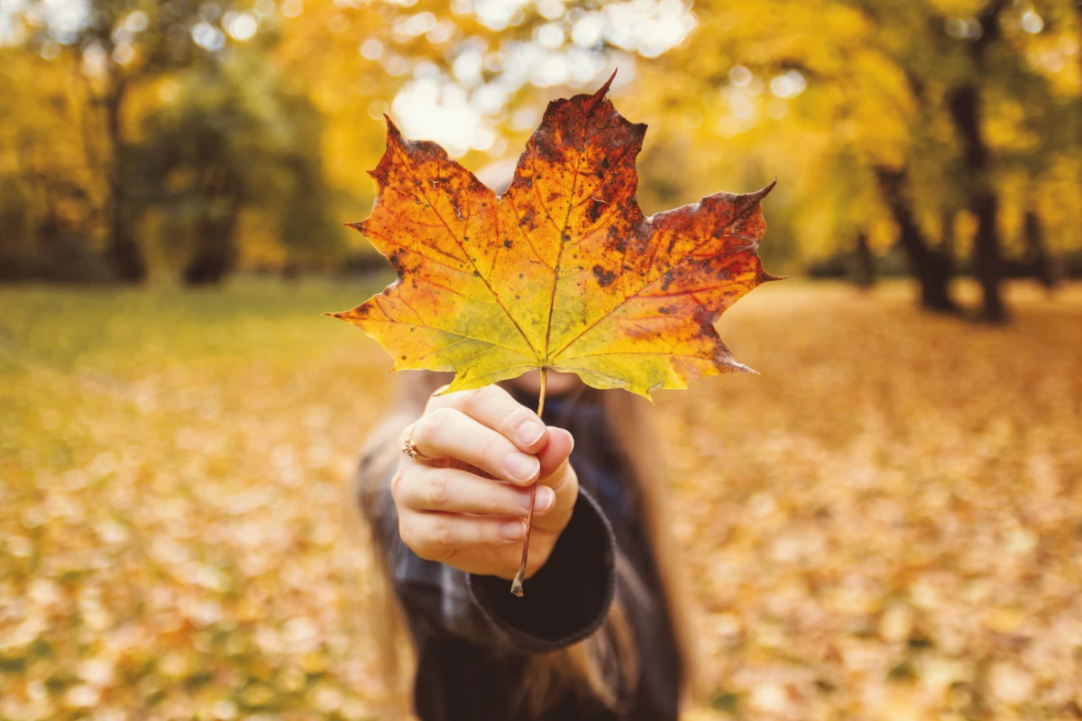 Over 55 & Neighbourhood Watch - London Community News - Fall Newsletter