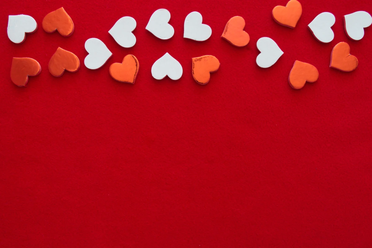 Over 55 Skills At Work - February 2024 Newsletter